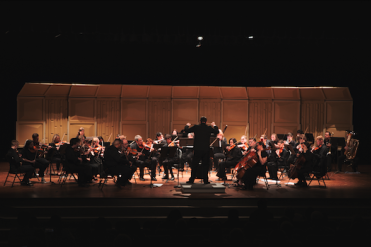 mp chamber orchestra on stage