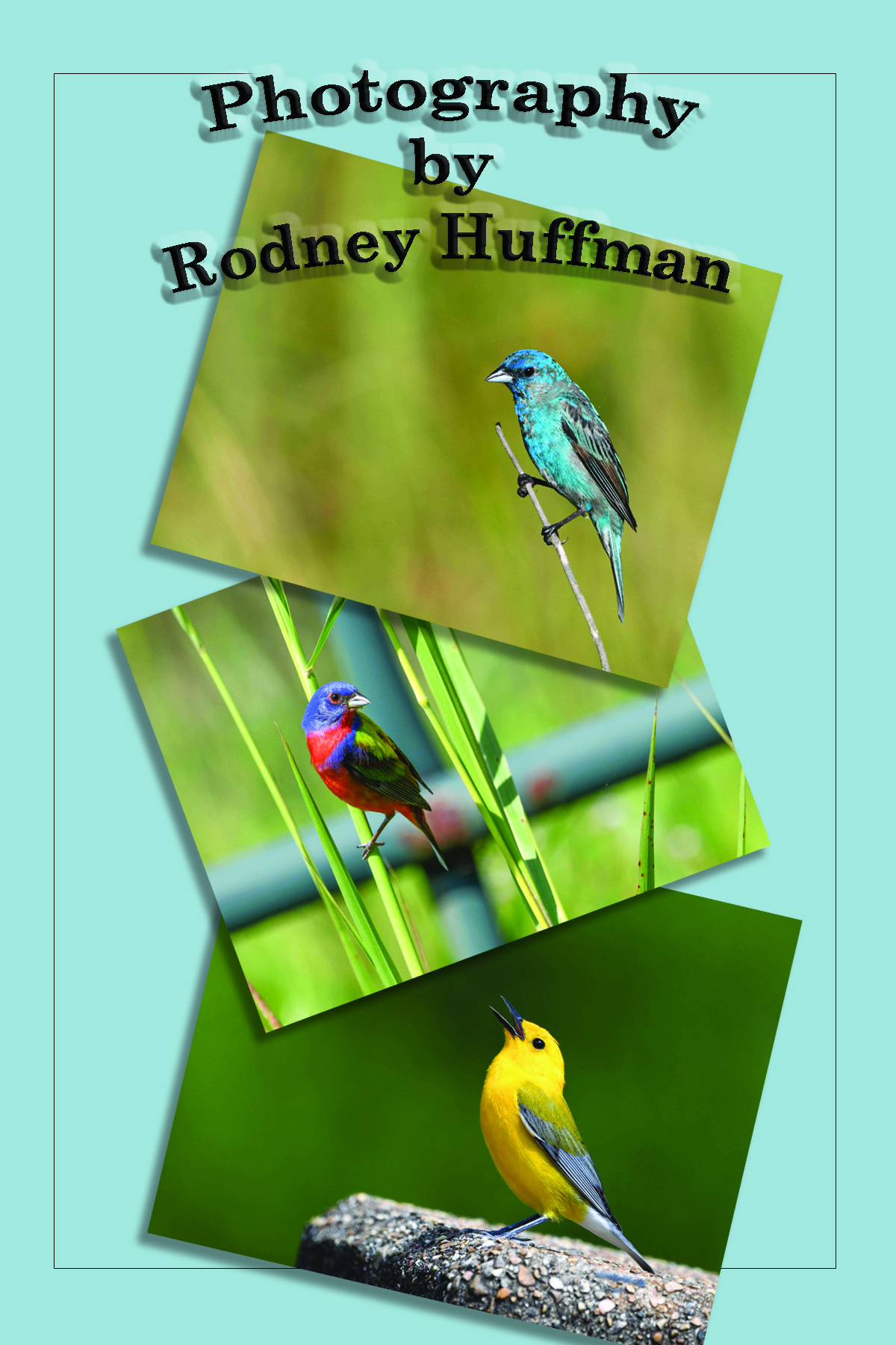 huffman bird photos