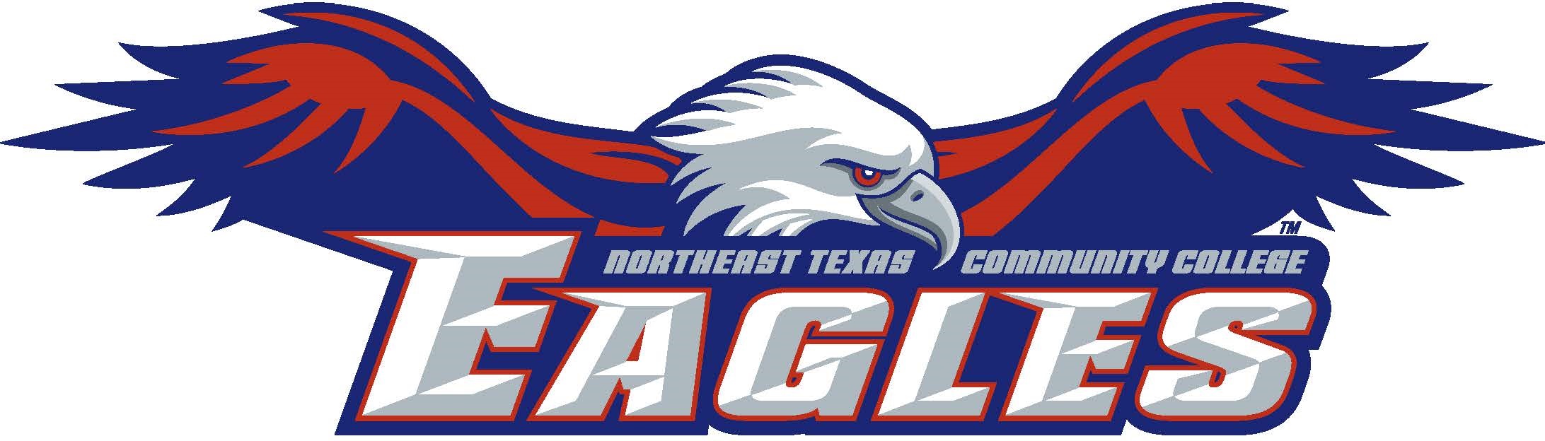 eagles softball logo