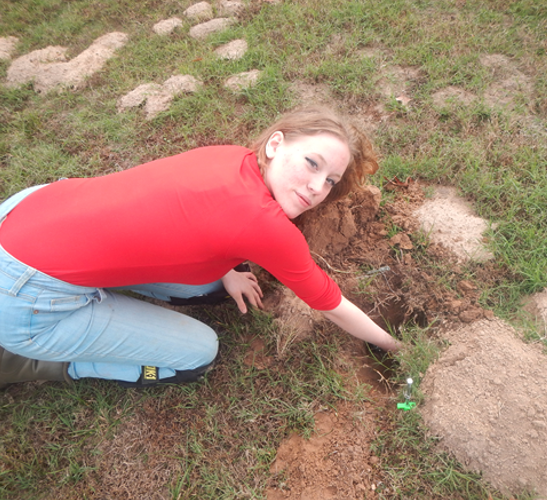 Tressider studying gophers