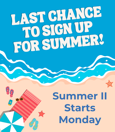 summer graphic