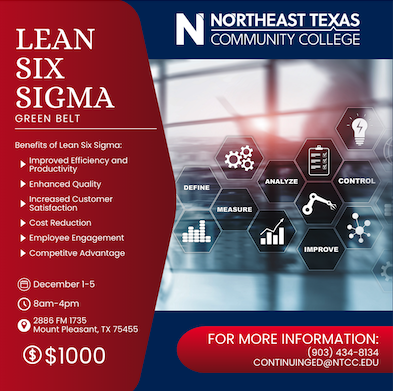 six sigma flyer