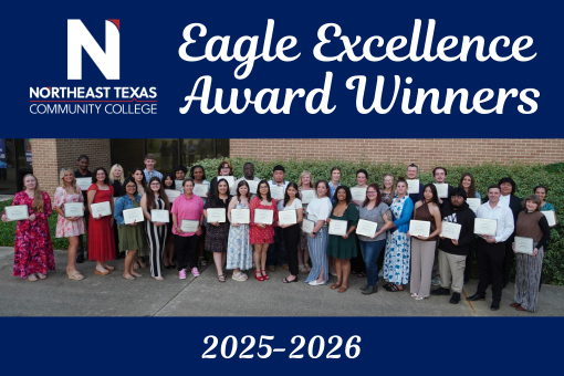 excellence winners group