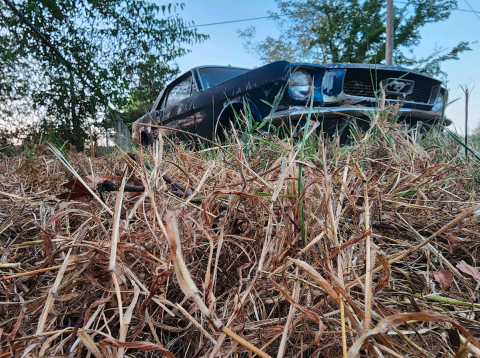 photo of car in front of dead grass