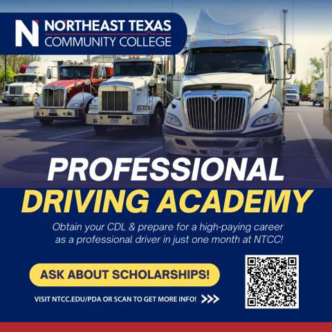 Professional Driving Academy