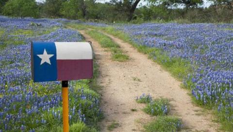 bluebonnets with texas mailbox