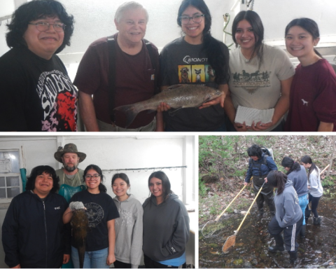 photo collage of students doing fish research