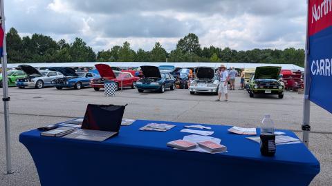 Mustang club event showing mustangs lined up