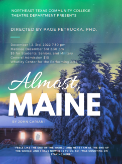 almost, Maine poster