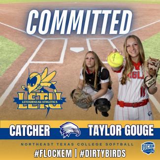 taylor gouge