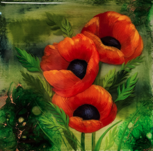 Poppies by Laura Abrams