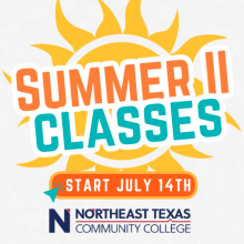 summer 2 graphic