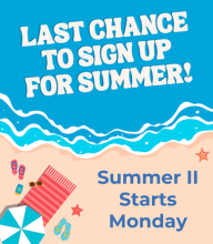 summer graphic