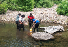 students in river doing fish research