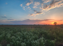 prairie sunrise