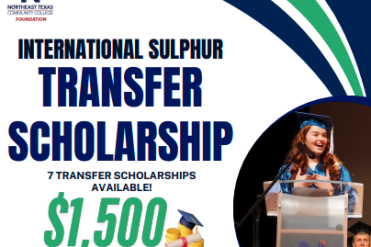 transfer scholarship graphic