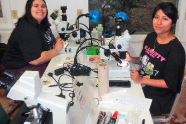 students working in lab