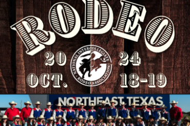 rodeo graphic
