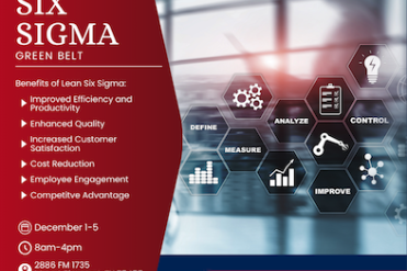 six sigma flyer