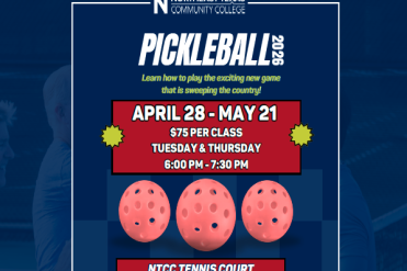 pickleball flyer graphic