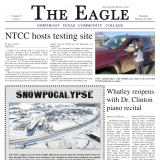 Screenshot of the eagle front page