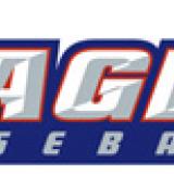 baseball team logo