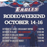 rodeo poster