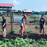 girls farming
