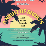 a night of shorts poster
