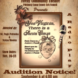 flyer for auditions