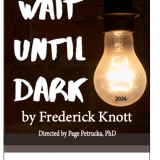 wait until dark poster