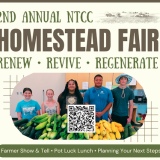homestead fair