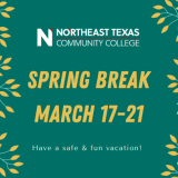 spring break graphic