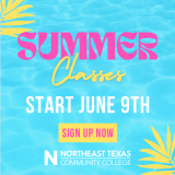 summer graphic