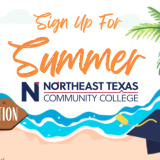 summer graphic